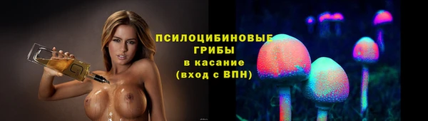 мдпв Касимов