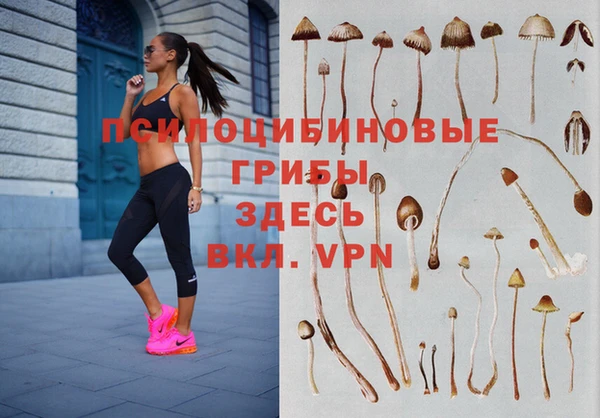 стафф Киреевск