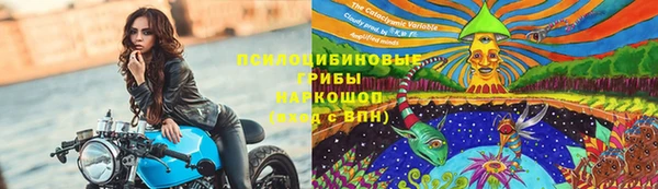 шишки Кинешма