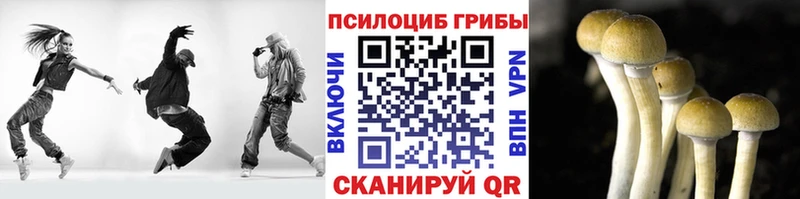 Псилоцибиновые грибы прущие грибы  Купить  Барыш 